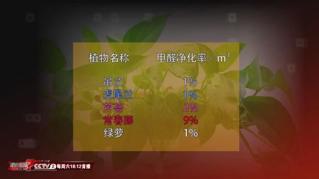 14531969332656083_56.jpg 14531969332656083_56.jpg