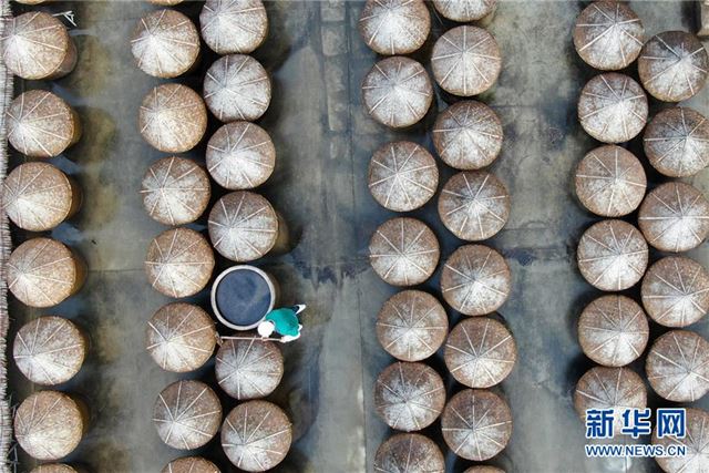 #（经济）（3）江苏如皋：小萝卜深加工促增收