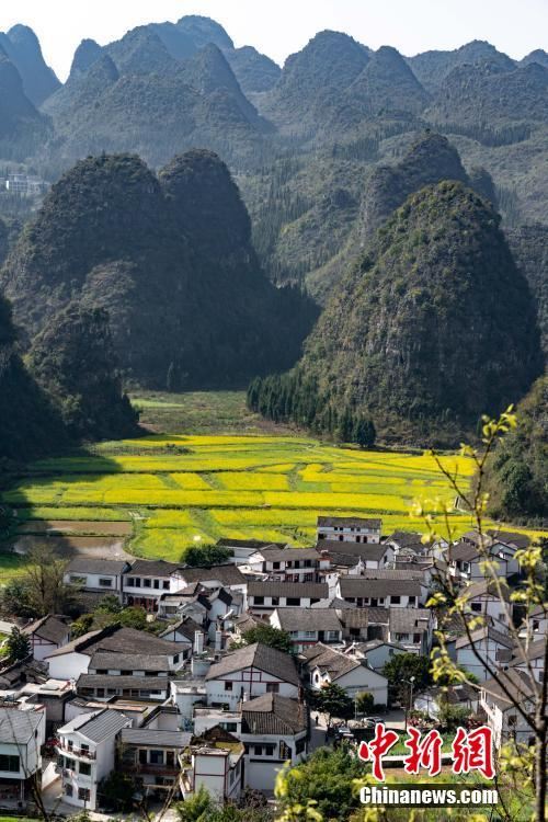 贵州兴义万峰林万亩油菜花竞相开放