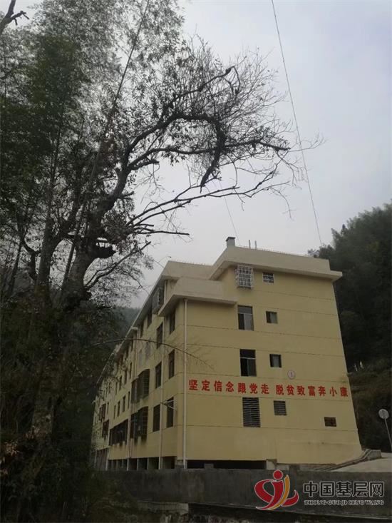 15050035999065951_92.jpg 15050035999065951_92.jpg