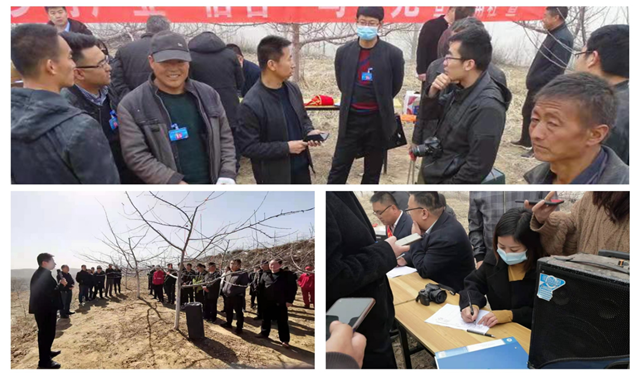 17521418065699490_68.png 17521418065699490_68.png