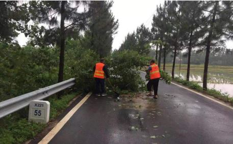 湖北麻城遭强降雨 纪检干部走上一线