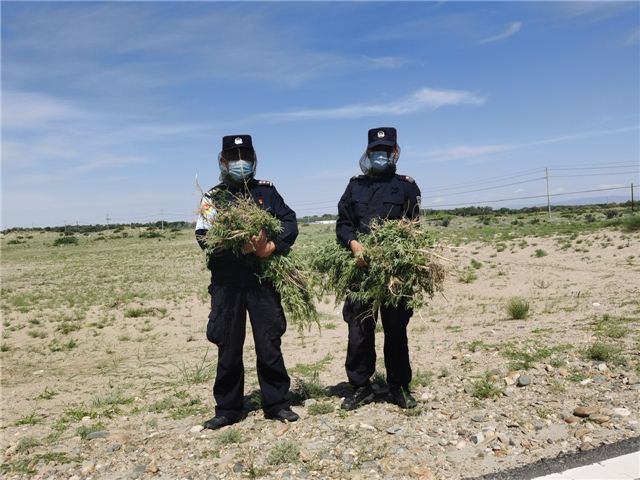 D6D5609D-0609-4EAE-AA9A-84642943BDD0.jpeg D6D5609D-0609-4EAE-AA9A-84642943BDD0.jpeg