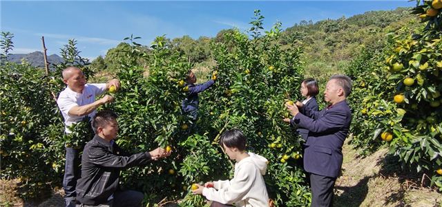 学习贯彻十九届六中全会精神·福建新泉商迈向新征程