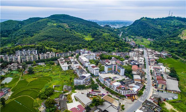 13120515618053039_106.jpg 13120515618053039_106.jpg