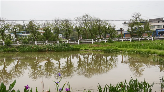 13145688128148084_106.png 13145688128148084_106.png