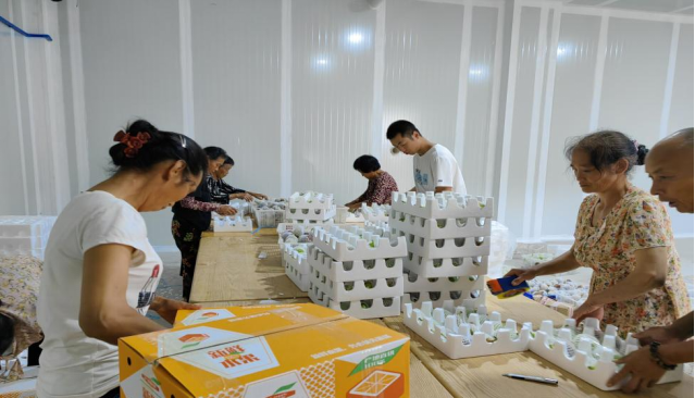 12073736431304824_106.png 12073736431304824_106.png