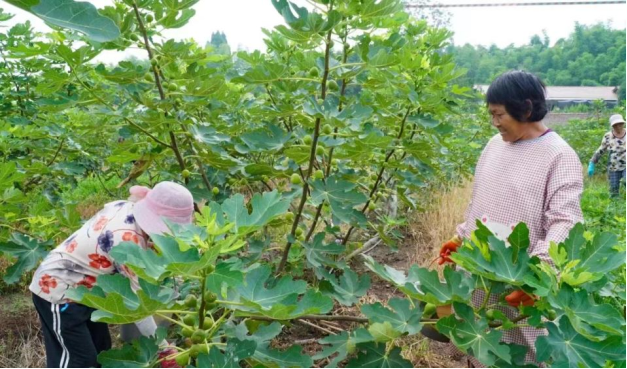 12082551715310066_106.png 12082551715310066_106.png