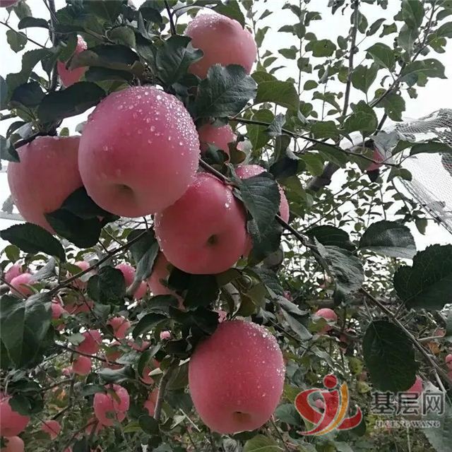 21322861489343604_68.jpg 21322861489343604_68.jpg