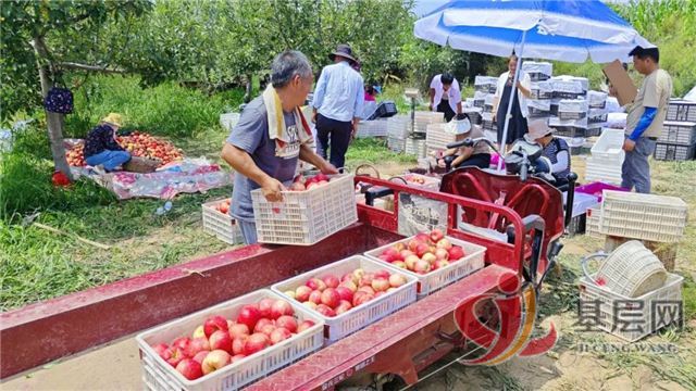 2134295267360764_68.jpg 2134295267360764_68.jpg