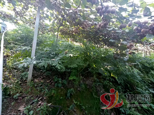 19532384786841525_75.png