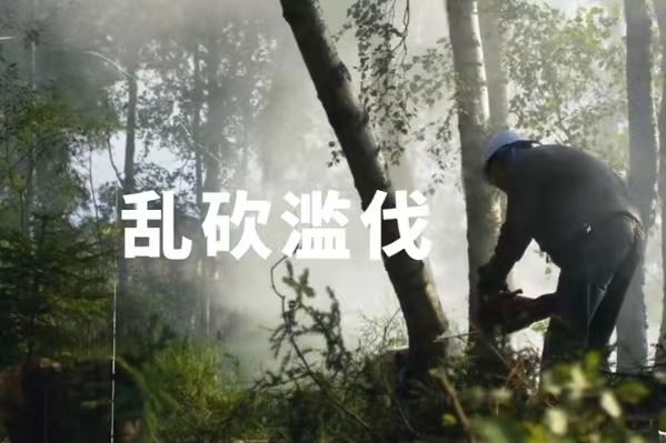 保护我们的大自然邻居