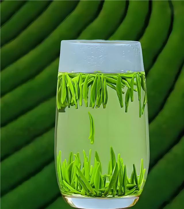 09314094622067669_83.jpg