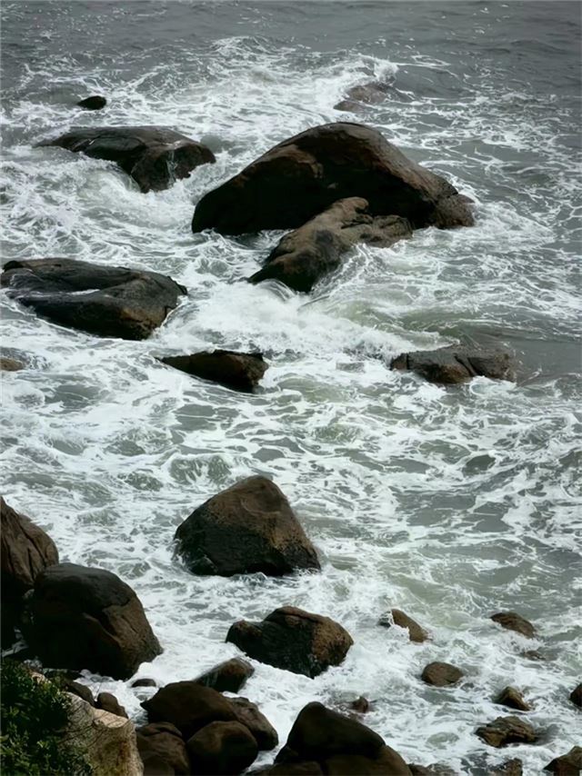 20020650815410705_84.jpg