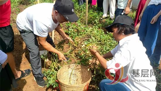 1945364607832068_92.jpg 1945364607832068_92.jpg