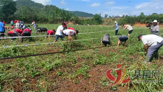 1127446852387322_92.jpg 1127446852387322_92.jpg