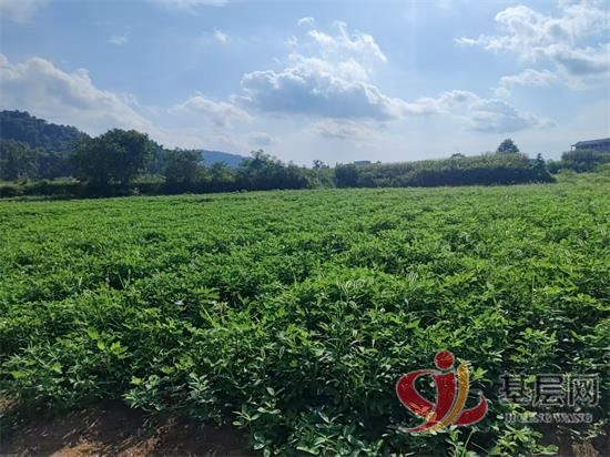 06124890575370970_92.jpg 06124890575370970_92.jpg