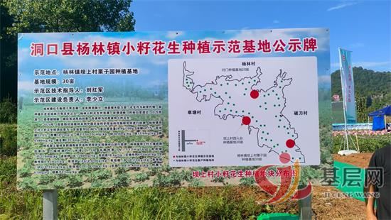 0614140391822268_92.jpg 0614140391822268_92.jpg