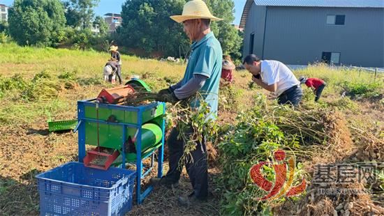 21164407226638601_92.jpg 21164407226638601_92.jpg