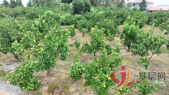 10481467477827873_92.png 10481467477827873_92.png