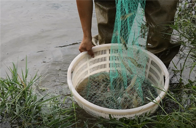 1337563055937128_106.png 1337563055937128_106.png