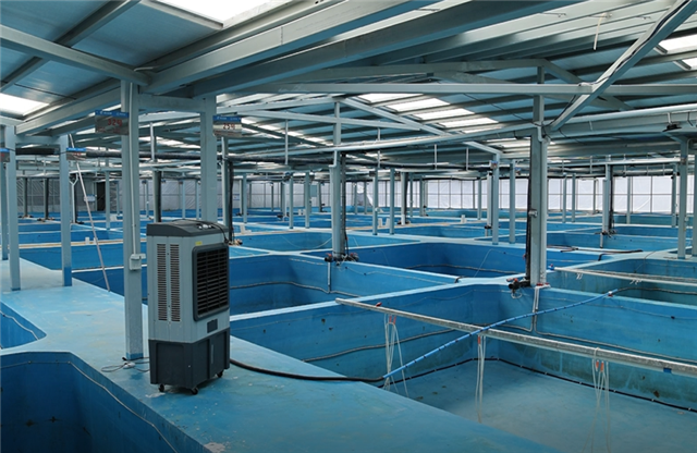 13390642033773603_106.png 13390642033773603_106.png