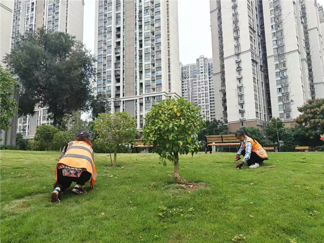 11430626255584736_106.png 11430626255584736_106.png