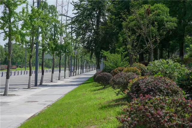 11451828315806209_106.png 11451828315806209_106.png