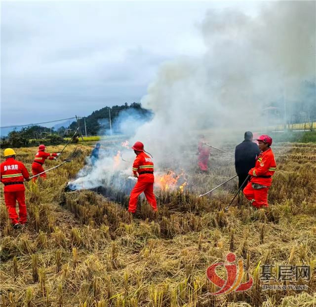 07585657284579407_75.jpg 07585657284579407_75.jpg