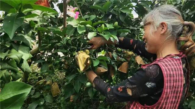 12565420631000352_106.png 12565420631000352_106.png