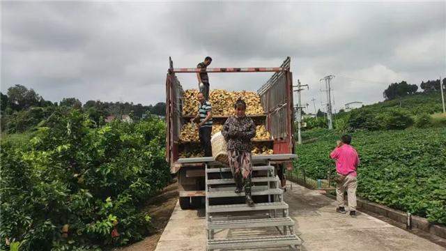 12575943842070893_106.png 12575943842070893_106.png