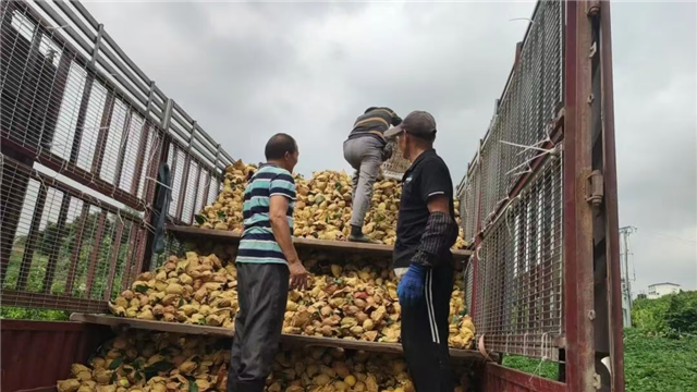 12590279343391823_106.png 12590279343391823_106.png