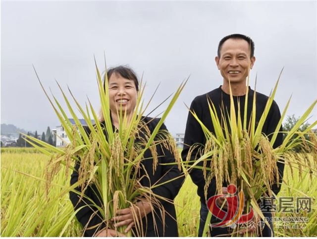 15495326967443309_75.jpg 15495326967443309_75.jpg