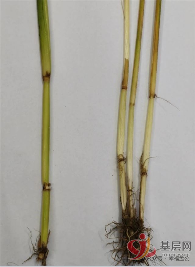 15501138557855112_75.jpg 15501138557855112_75.jpg