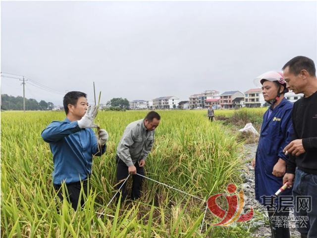 16035933392109169_75.jpg 16035933392109169_75.jpg