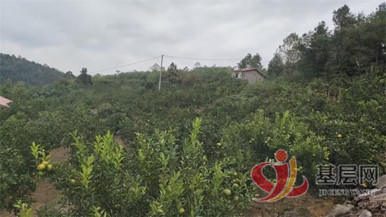 21324417359234808_92.jpg 21324417359234808_92.jpg