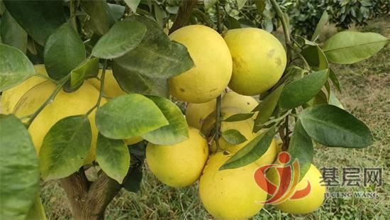 21332247006012234_92.jpg 21332247006012234_92.jpg