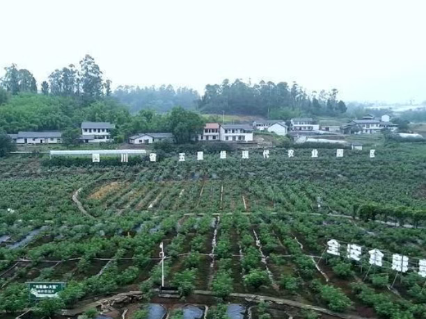 12175634006135955_106.png 12175634006135955_106.png