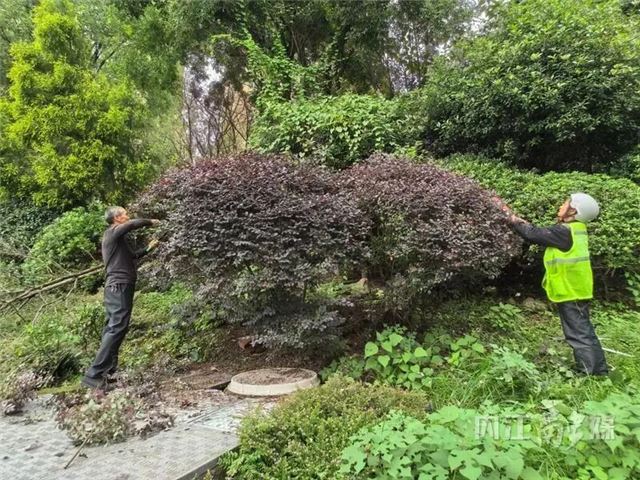 19235881688972391_106.jpg 19235881688972391_106.jpg