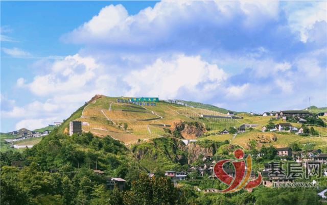 023235400520945_75.jpg 023235400520945_75.jpg