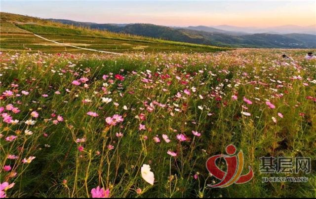 02372478828273878_75.jpg 02372478828273878_75.jpg