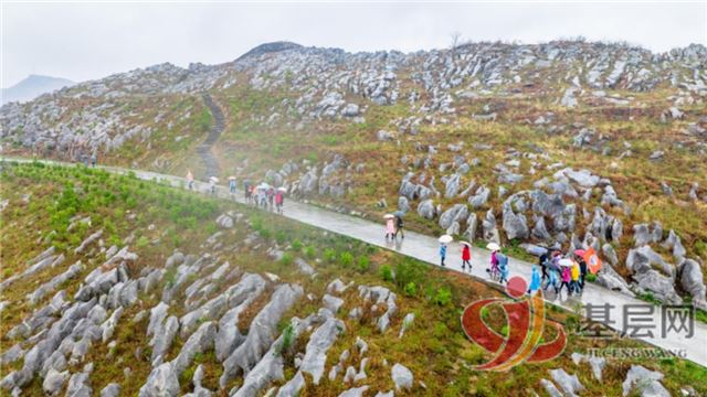 02380411807701442_75.jpg 02380411807701442_75.jpg