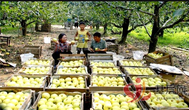 02381787151182144_75.jpg 02381787151182144_75.jpg