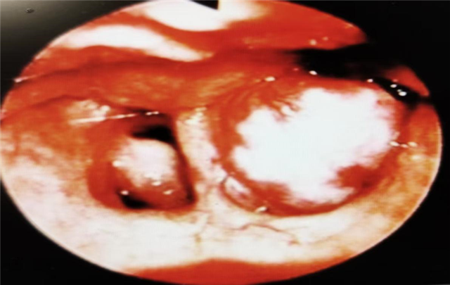 09414746621887902_106.png 09414746621887902_106.png