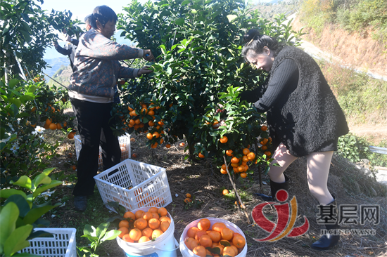 21534100864463305_92.png 21534100864463305_92.png