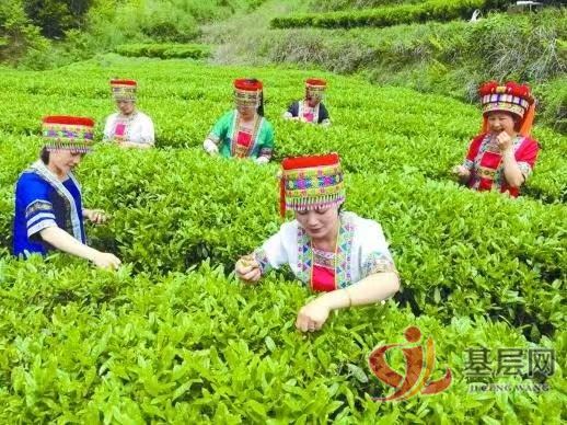 10103408276436945_75.jpg 10103408276436945_75.jpg