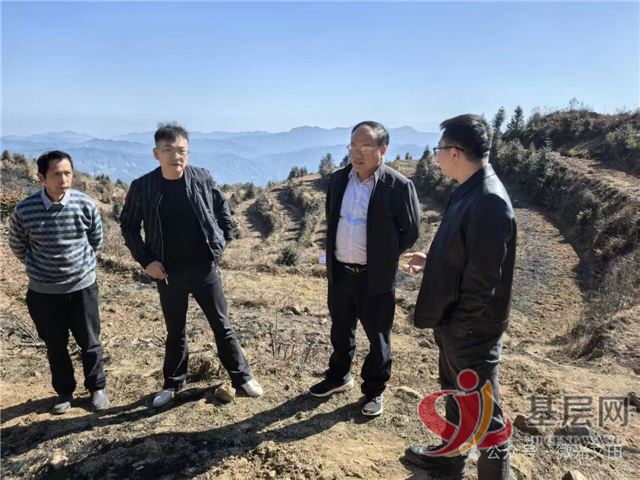 10172725899681600_75.jpg 10172725899681600_75.jpg