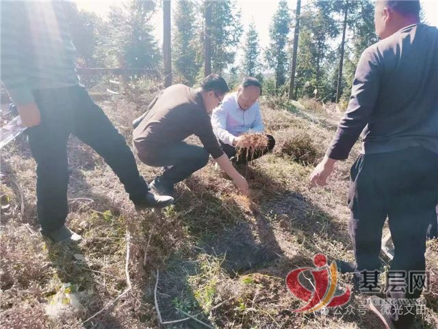 10180727981192129_75.jpg 10180727981192129_75.jpg