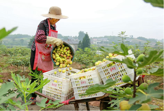 16262462323989117_106.png 16262462323989117_106.png