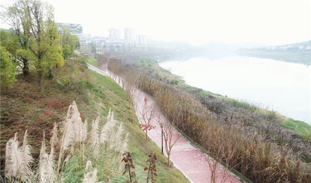 20333720455466460_106.jpg 20333720455466460_106.jpg